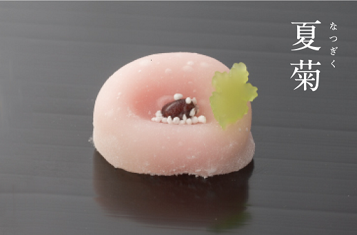 夏菊
